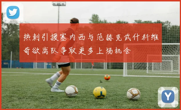 热刺引援塞内西与范赫克武什科维奇欲离队争取更多上场机会
