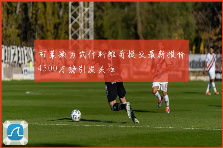 布莱顿为武什科维奇提交最新报价4500万镑引发关注